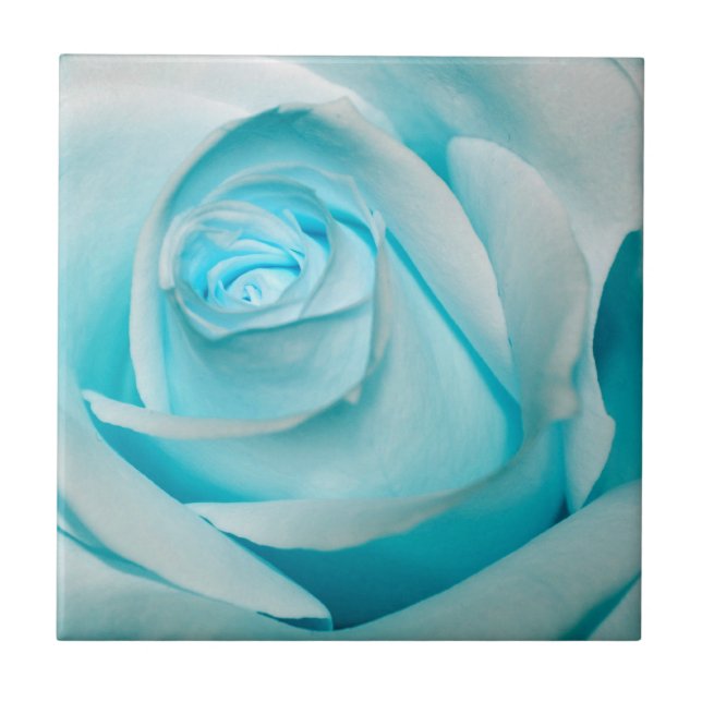 Carreau La glace de turquoise s'est levée (Devant)