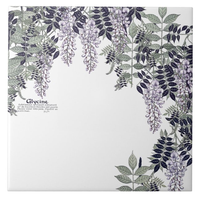 Carreau La glycine française de Nouveau d'art fleurit le (Devant)