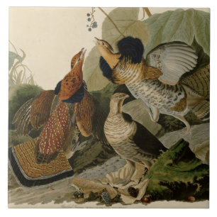 Carreau La peinture d'Audubon d'un trio de grouse de