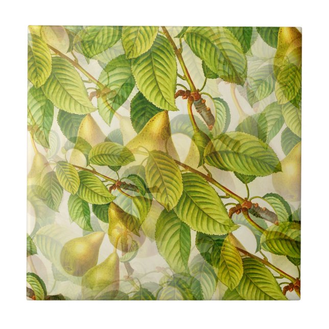 Carreau La Pera (Devant)