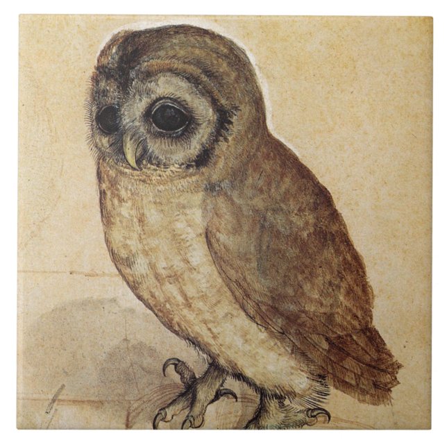 Carreau La Petite Chouette (par Albrecht Durer) (Devant)
