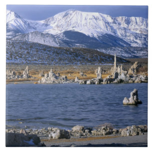 CARREAU LA RÉSERVE NATURELLE DE MONO LAKE TUFA,