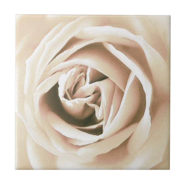 Carreau La Rose blanche (Devant)