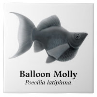 La tuile noire d'aquarium populaire de ballon
