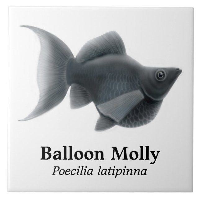 Carreau La tuile noire d'aquarium populaire de ballon (Devant)