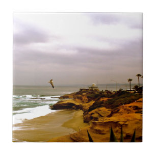 Carreau La vie de La Jolla