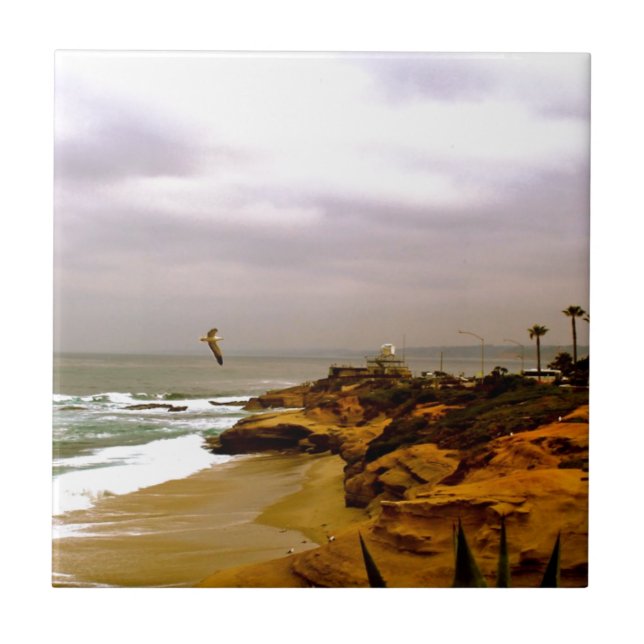 Carreau La vie de La Jolla (Devant)
