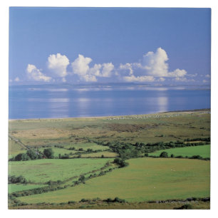 Carreau la vue panoramique des champs de ferme