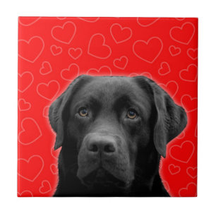 Carreau Labrador noir avec Coeurs rouges