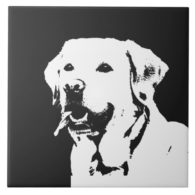 Carreau Labrador Retriever (Devant)