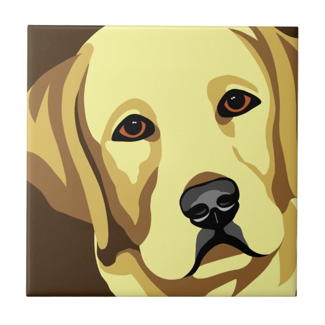 Carreau Labrador retriever (Devant)