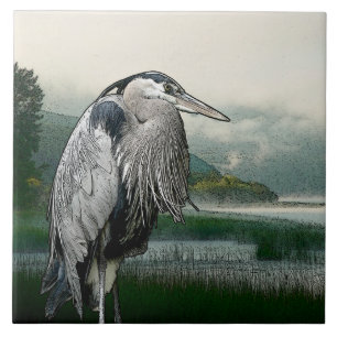Carreau Lac heron