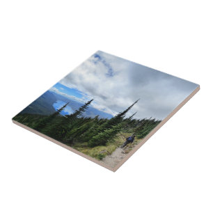 Carreau Lac McDonald de Mt Brown - Parc national des Glaci