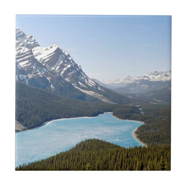 Carreau Lac Peyto - Parc national Banff, Alberta, Canada (Devant)