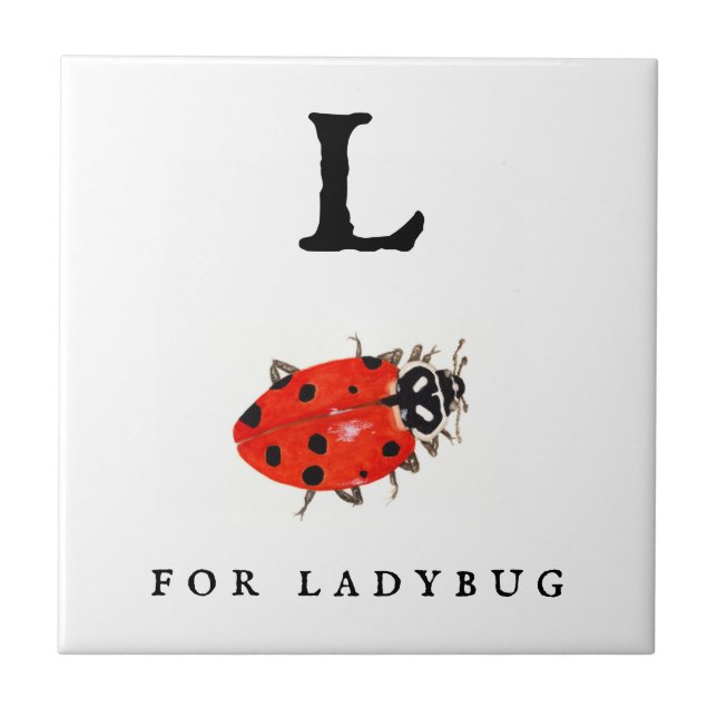 Carreau Ladybug (Devant)