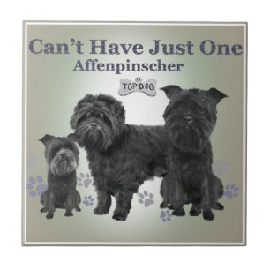 Carreau L'Affenpinscher ne peut pas avoir juste un couvre