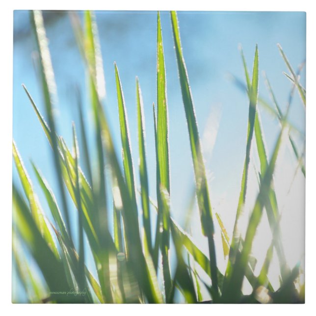 Carreau Lames éclairées (Devant)