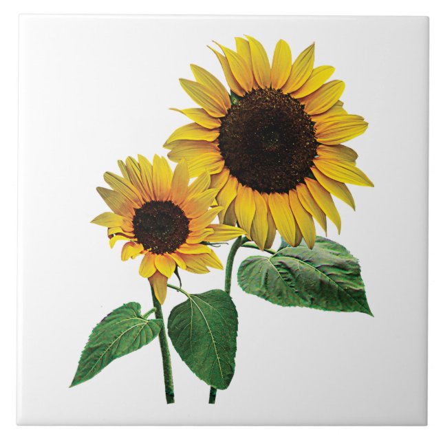 Carreau L'amour d'une maman de tournesol (Devant)