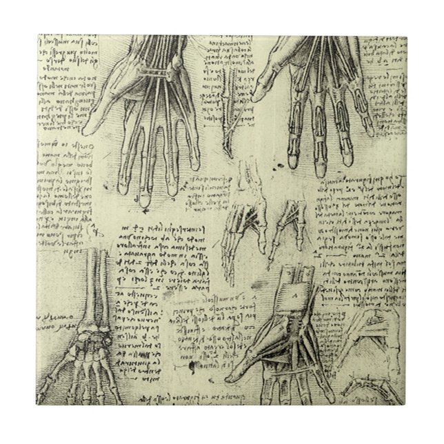 Carreau L'anatomie de la main humaine de Léonard de Vinci (Devant)