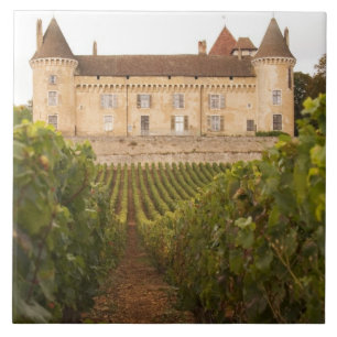 Carreau L'ancien château médiéval de Rully dans la Cote