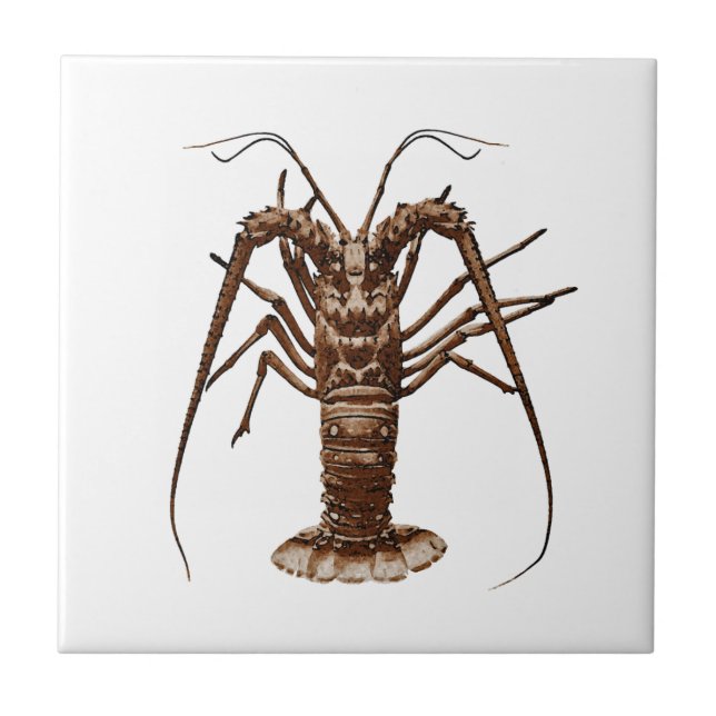 Carreau Langouste des Caraïbes (Devant)