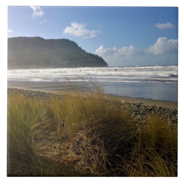 Carreau L'anse, Balnéaire, Oregon (Devant)