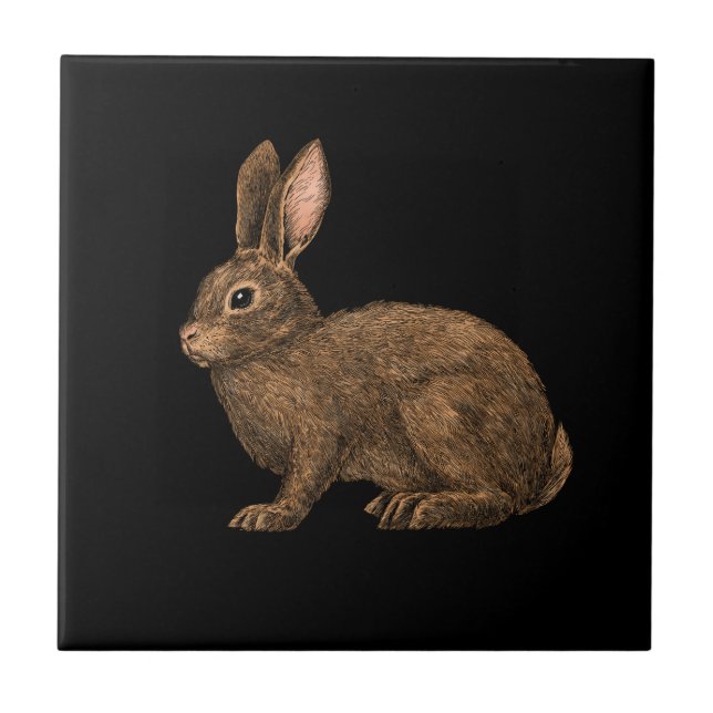 Carreau Lapin 2 (Devant)