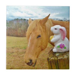 Carreau Lapin blanc et cheval jaune blond