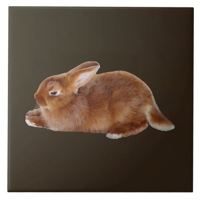 Carreau Lapin Brown (Devant)