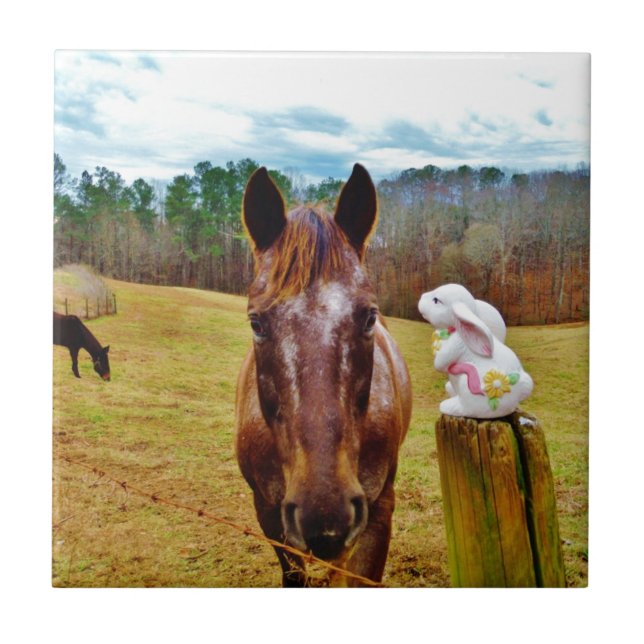 Carreau Lapin de Pâques et cheval Brown (Devant)