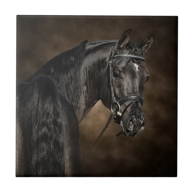 Carreau L'Arabe (Devant)