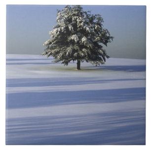 Carreau L'arbre dans la neige a couvert le paysage
