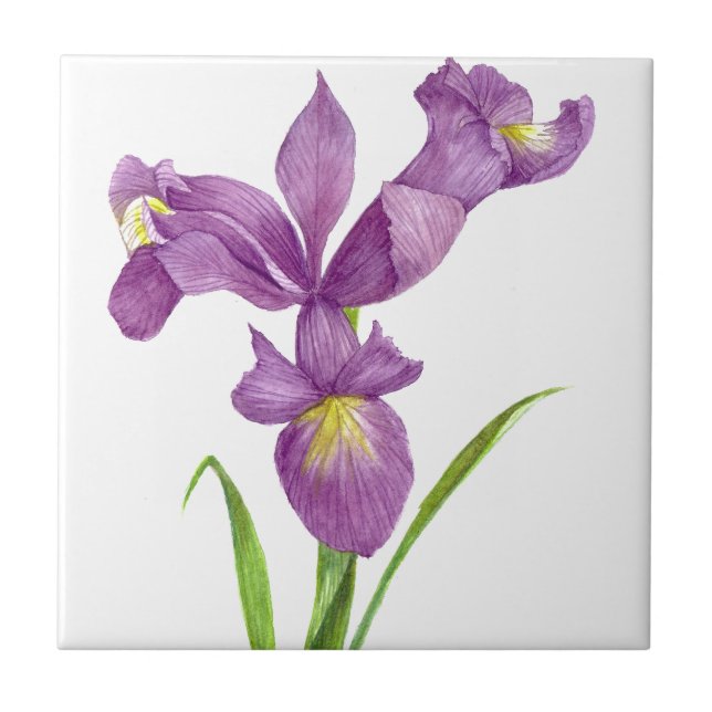 Carreau L'art botanique floral violet d'Iris (Devant)