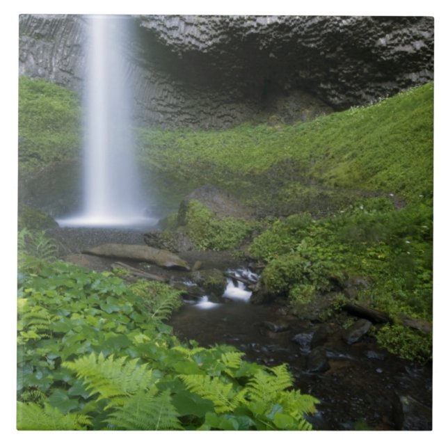 Carreau Latourell Falls, Columbia River Gorge, Oregon, (Devant)