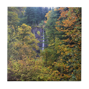 Carreau Latourell Falls, Columbia River Gorge, Oregon
