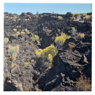 Carreau Lava Butte Trail