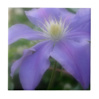 Carreau Lavande Clematis Fleur Nature