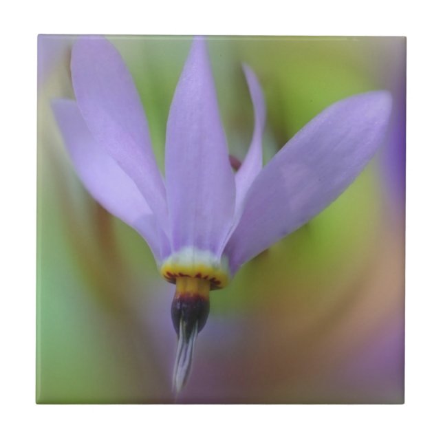 Carreau Lavande Purple Nature (Devant)