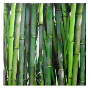 Carreau Le Bambou vert Stalks Photographie de la nature