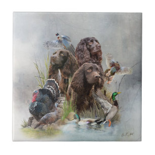 Carreau Le Boykin Spaniel