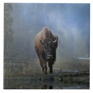 Carreau Le Bufallo amérindien dans le carrelage d'art de l