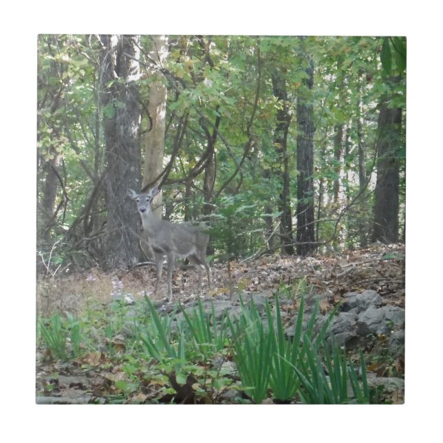 Carreau Le cerf à la lisière des bois (Devant)