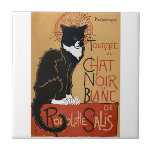 Carreau Le Chat Noir et Blanc