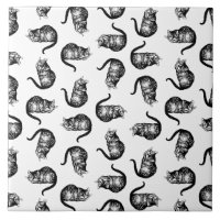 Le Cheshire Cat Alice au pays des merveilles