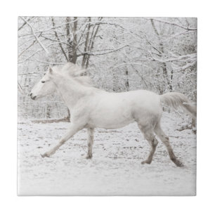 Carreau Le Cheval blanc galopant dans la neige