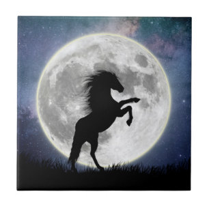 Carreau Le cheval et la lune blanche