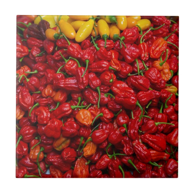 Carreau Le Chili de Fatalii poivre 2 (Devant)
