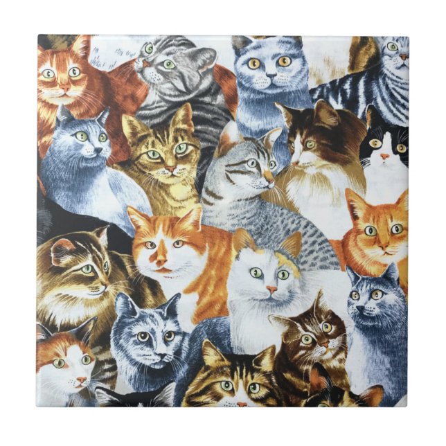 Carreau Le Clowder de CATS (Devant)