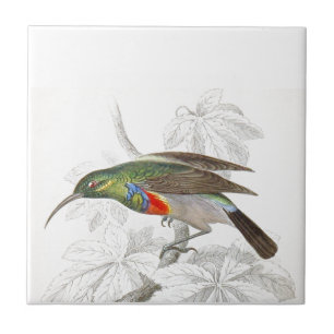 Carreau Le colibri