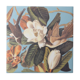 Carreau Le coucou affiché par noir d'Audubon
